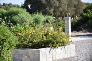 Gallery image of Kiotari Beach Apartments in Kiotari