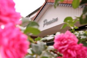 a group of pink flowers in front of a building at Pension " Zu den Linden" Trin in Trinwillershagen
