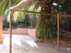 a patio with a palm tree next to a building at Johannesburg Boarding Hostel in Johannesburg