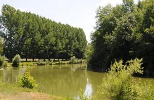 a river with trees on the side of it at Camping Au Bord de l'Aisne in Guignicourt