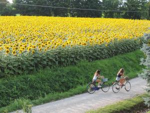 two women riding bikes in front of a field of sunflowers at B&B I Prati di Varmo in Romans di Varmo