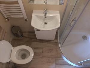 a bathroom with a sink and a toilet and a shower at Pokoje u Staszka in Bukowina Tatrzańska