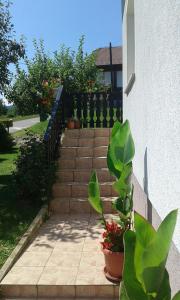 Zahrada ubytování Apartment Dolores