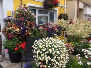 Gallery image of Globe Guesthouse in Burry Port +17 photos