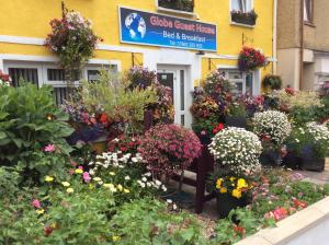 a bunch of flowers on the side of a building at Globe Guesthouse in Burry Port