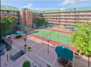 an image of a tennis court in front of a building at Spacious 4 BR and 2 Bathrooms City Apartment in Adelaide