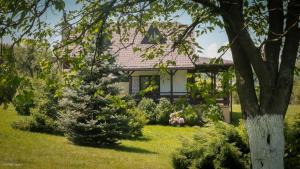 a house with a garden in front of it at Green Forest Visoko in Visoko