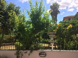 A garden outside Eco Home