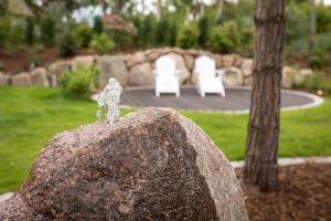 a rock with a piece ofarov at Kapitaensweg 12 in Ostseebad Karlshagen