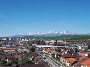 Príroda v okolí hotela