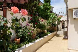 a garden with pink flowers on a wall at Guest House Ianis Paradise in Nesebar