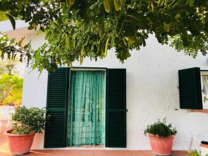Zahrada ubytování Villa Il Carrubo - Basilicata