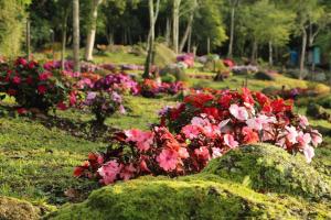 A garden outside Spring Garden