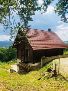 una pequeña casa de madera con techo rojo en Romantic Cottage House, en Žužemberk