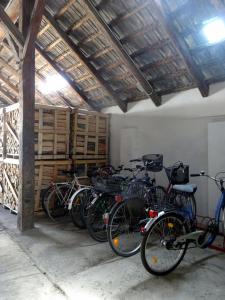 a bunch of bikes parked in a garage at Gästehaus Gabriel in Illmitz