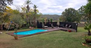 a backyard with a swimming pool in the grass at Cheetah Lodge Guest House in Hartenbos