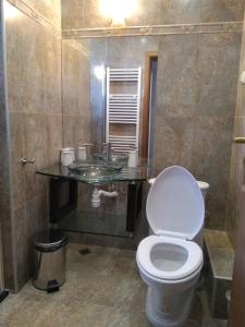 a bathroom with a toilet and a sink at Вила Цветелина, Комплекс Александриa in Dobrinishte +31 photos