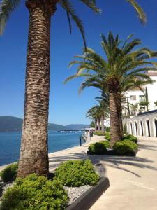 Gallery image of Private rooms - Tivat in Tivat