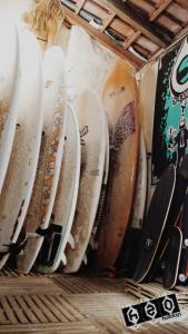 a bunch of surfboards lined up against a wall at h2oholidays for you in Capbreton