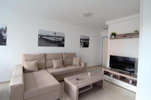 羅薩里奧港的住宿－Apartamentos Tao Laia，带沙发和电视的客厅