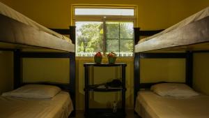 two bunk beds in a room with a window at Big V Raizal Home in San Andrés