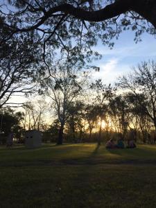 dos personas yaciendo en la hierba bajo un árbol en La Soñada en San Antonio de Areco