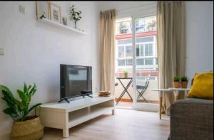 A television and/or entertainment centre at Apartamento MINAGA 1