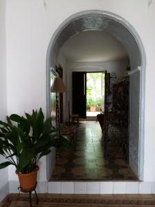 an archway leading to a hallway with a potted plant at Las Jimenas in Higuera de la Sierra