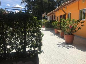 a row of potted plants next to a building at Hostal El Hangar in Rionegro