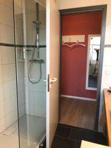 リューネブルクにあるAppartement Ginstertraumのバスルーム(ガラスドア付きのシャワー付)