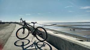 Jízda na kole v ubytování Carabelli Propiedades nebo okolí