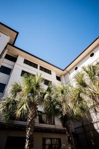 ein Gebäude mit Palmen davor in der Unterkunft The Cook Hotel & Conference Center in Baton Rouge