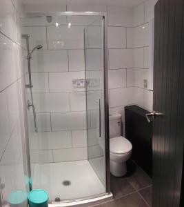 Un baño con inodoro y ducha de cristal. en The Crawford's, en Invercargill
