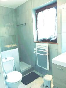 La salle de bains est pourvue de toilettes, d'un lavabo et d'une fenêtre. dans l'établissement B&B bio, à Dieffenthal