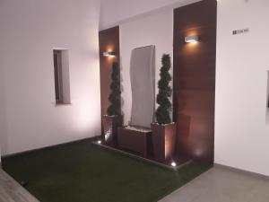 un pasillo con tres macetas en un edificio en Apartamentos Turísticos Clavero, en Almagro