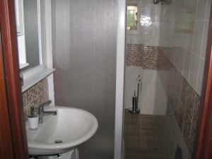 a bathroom with a sink and a shower at GranSasso Dream House in Carapelle Calvisio