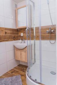 a bathroom with a sink and a shower at Marina House Apartments in Międzyzdroje