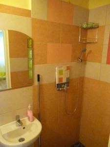 a bathroom with a shower and a sink at Eper Apartman in Debrecen +11 photos