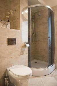 uma casa de banho com um chuveiro e um WC branco em Olla apartmány em Svidník