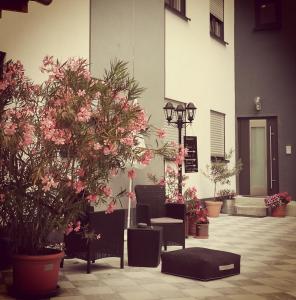 une chambre avec des plantes en pot et un bâtiment dans l'établissement Oleander Hof, à Hochstadt