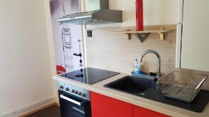 mała kuchnia ze zlewem i kuchenką w obiekcie Garden Apartment Donau-City (P&R) w Wiedniu