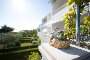 Zahrada ubytování Apartments Sandy