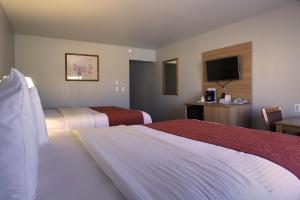 Postel nebo postele na pokoji v ubytování Aladdin Inn and Suites