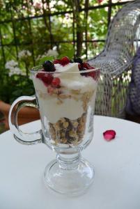 eine Glastasse gefüllt mit Eis mit Beeren und Nüssen in der Unterkunft Residenza Dutzu-Boutique Hotel in Brăila