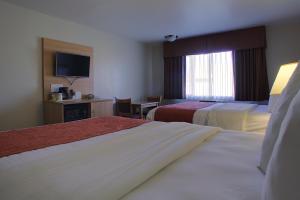 Postel nebo postele na pokoji v ubytování Aladdin Inn and Suites