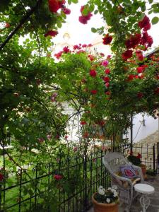 einen Garten mit roten Blumen, einem Stuhl und einem Zaun in der Unterkunft Residenza Dutzu-Boutique Hotel in Brăila