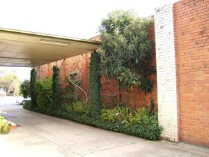 Gallery image of Clifton Motel in Albury