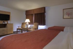 Tempat tidur dalam kamar di Aladdin Inn and Suites