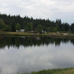 a view of a lake with trees in the background at Appartement au cœur du parc national des Cévennes in L'Espérou +9 photos