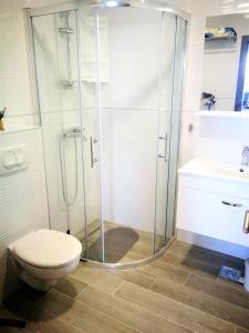a bathroom with a shower and a toilet and a sink at STIGA 1 - new ap. 4 two in Prožura